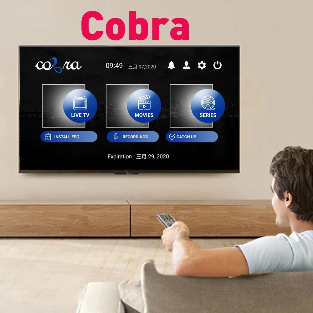 Wholesale Cobra European IPTV Subscription Italian French Poland Romania Albania Belgium Code 1 Year Smart TV Apk Europe IPTV Account Reseller Panel