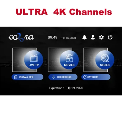 Hi-Ott IPTV Cobra Reseller Panel für Niederländisch, Deutschland, USA, Kanada, Großbritannien, Italien, Arabisch, Indien, Pakistan, Türkisch, 18+ M3u-Liste für Android-Set-Top-Box